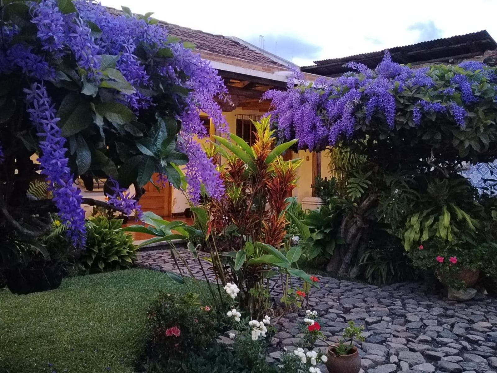 Hostal San Nicolas Antigua Eksteriør billede