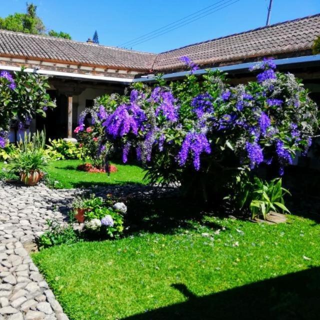 Hostal San Nicolas Antigua Eksteriør billede
