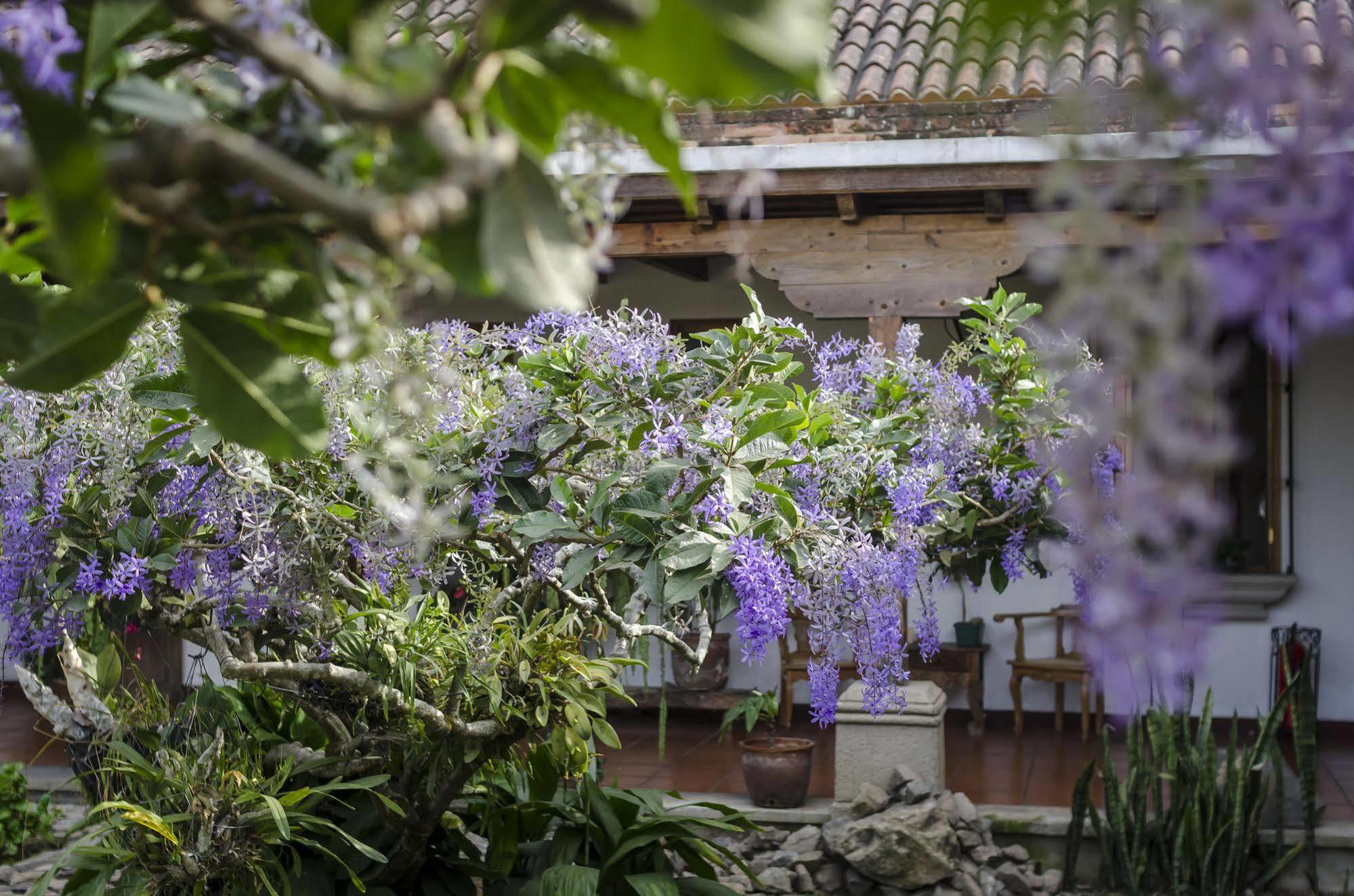 Hostal San Nicolas Antigua Eksteriør billede